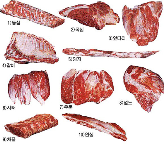 사용자 삽입 이미지