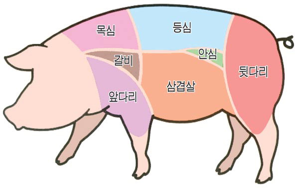 사용자 삽입 이미지